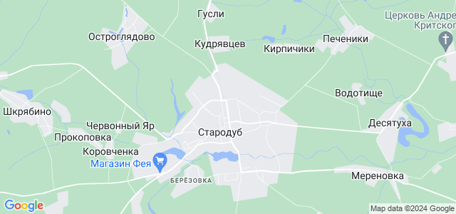 Гугл карта стародуб