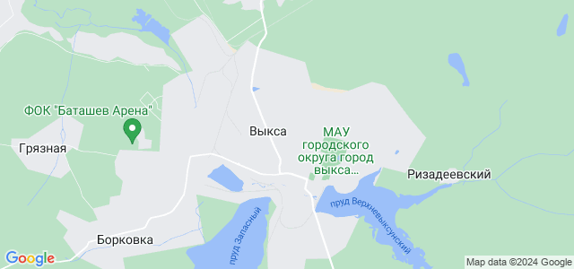 Где находится г выкса