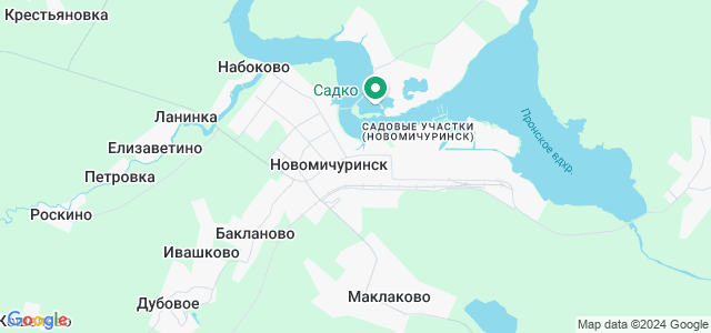 Карта города новомичуринск