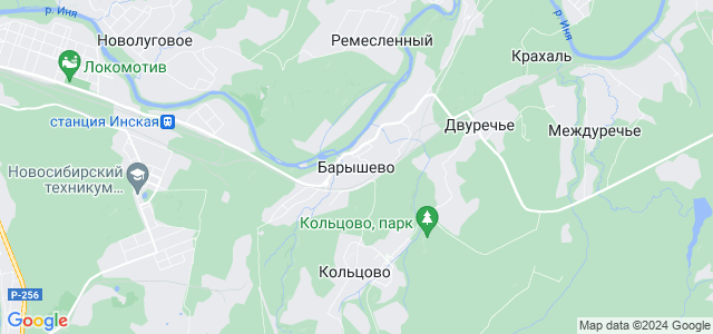 Кадастровая карта барышево