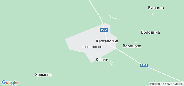 Дром каргаполье