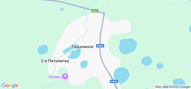 Карта тюкалинск спутник