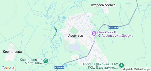 Погода карта арсеньев