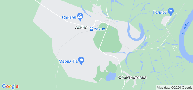 Карта города асино