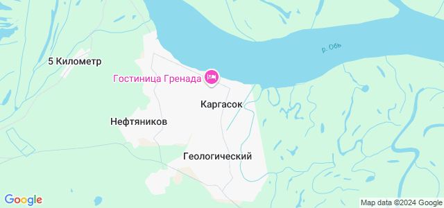 Гугл карта каргасок