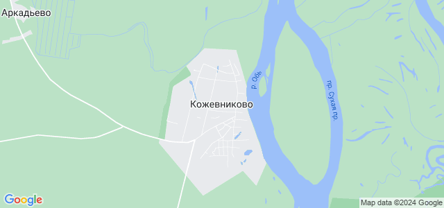 Гугл карта кожевниково