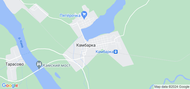 Карта камбарки со спутника