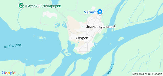 Карта г амурск спутник